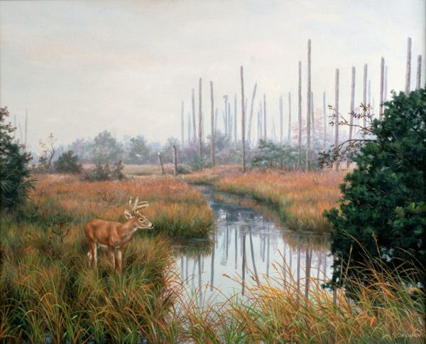 "Foggy Morning" (Old Marsh Landing)