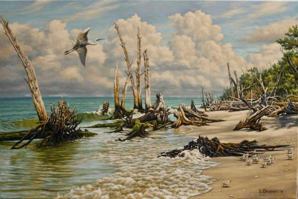 "Driftwood Beach"