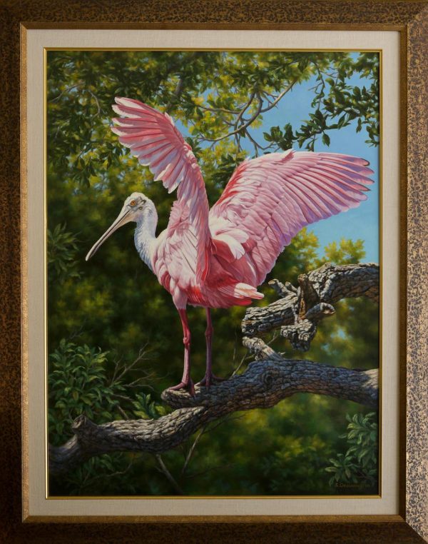 "Pretty in Pink" ( Roseate Spoonbill)