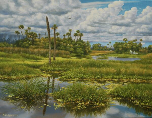 "Reflection of Florida-10" (Orlando Wetlands Park)