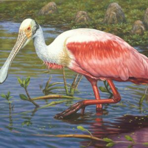 "Grace in Every Step"